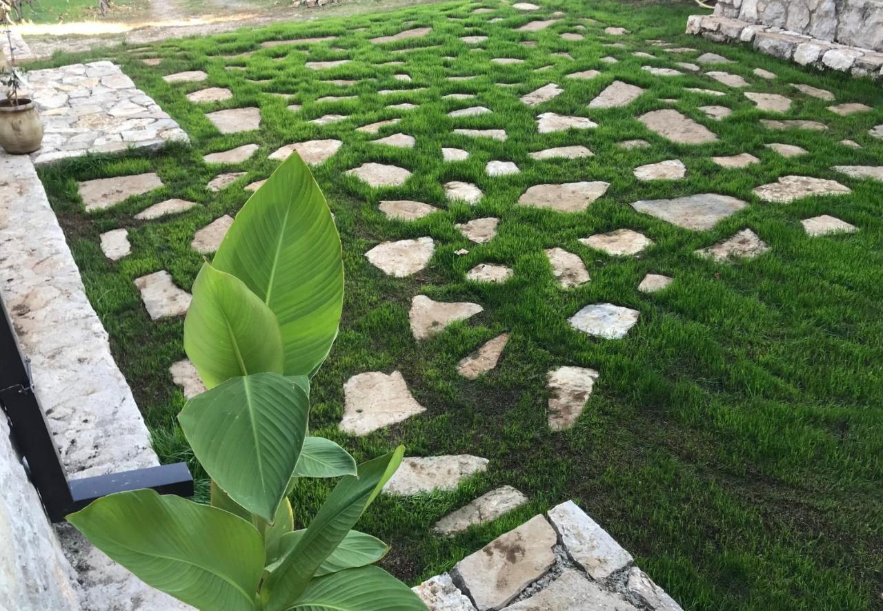 Green Silence - Iva Danilovgrad المظهر الخارجي الصورة